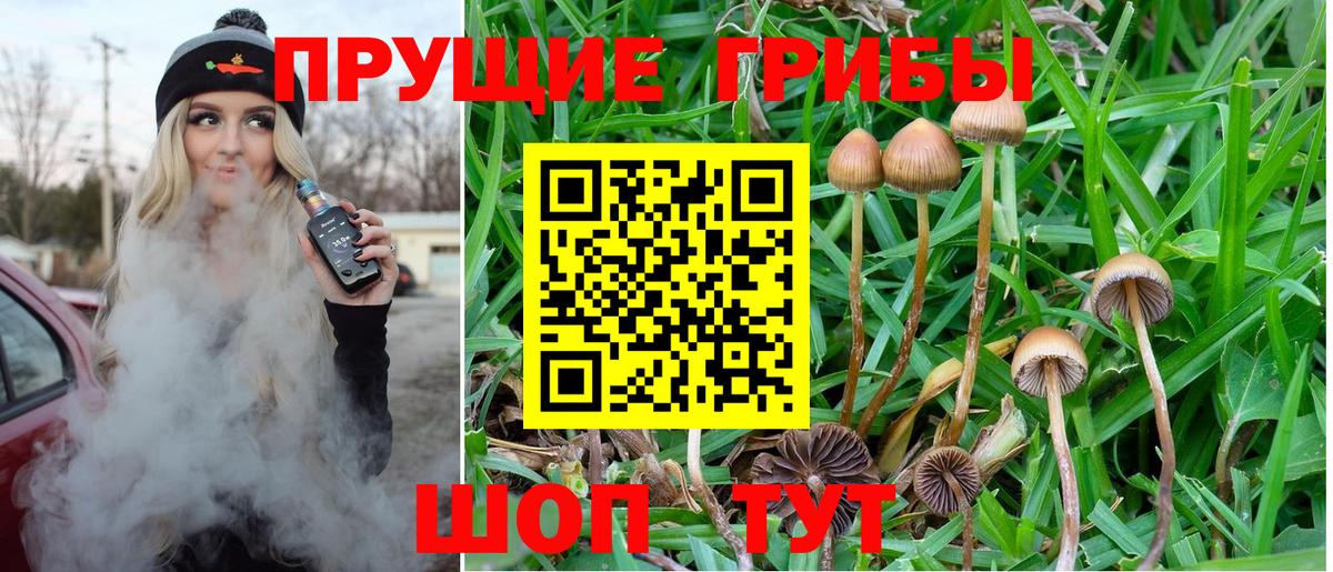 Галлюциногенные грибы мицелий Ростов Великий
