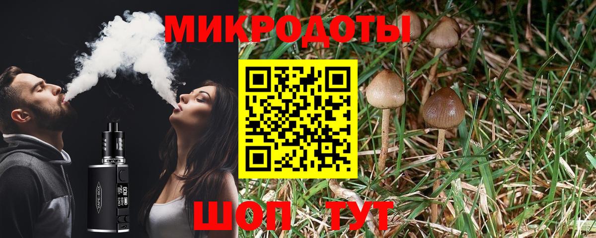 Псилоцибиновые грибы Magic Shrooms  Вход с VPN  Ростов Великий  Псилоцибиновые грибы Cubensis 