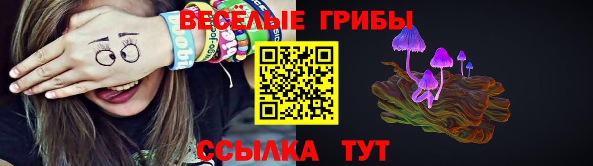 Псилоцибиновые грибы MAGIC MUSHROOMS  Вход с VPN  Ростов Великий 